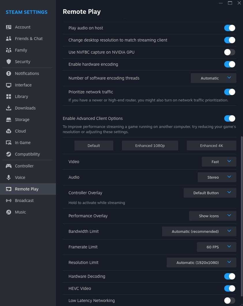 Steam Remote Play Setup